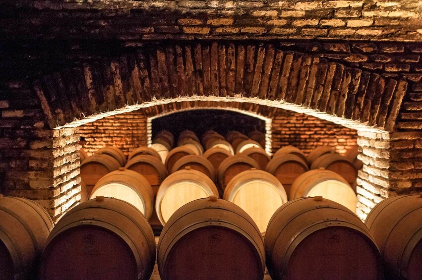 Small-Group Concha y Toro Winery Tour
