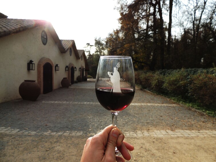 Small-Group Concha y Toro Winery Tour