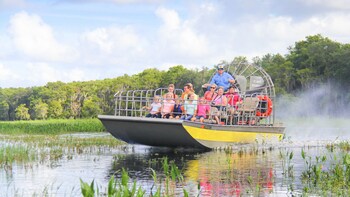 Wild Florida Airboat Tour - 1 Hour