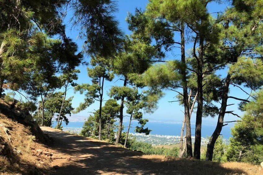 Small-Group Half-Day Exploring Kos with Lunch