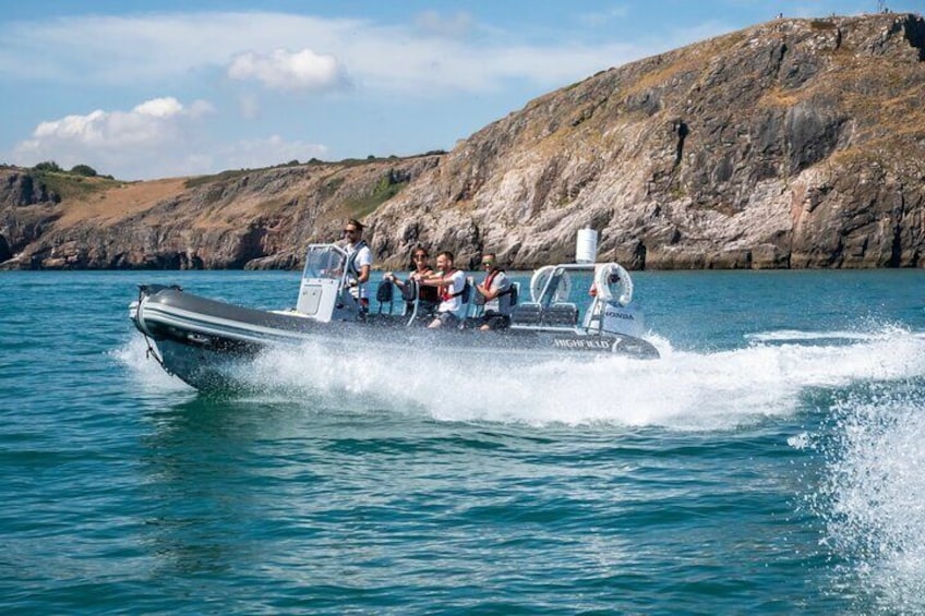 Torquay Coastal RIB Seafari