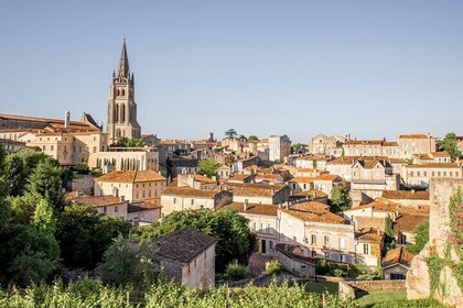 From Bordeaux: Saint-Émilion Half-Day Trip with Wine Tasting