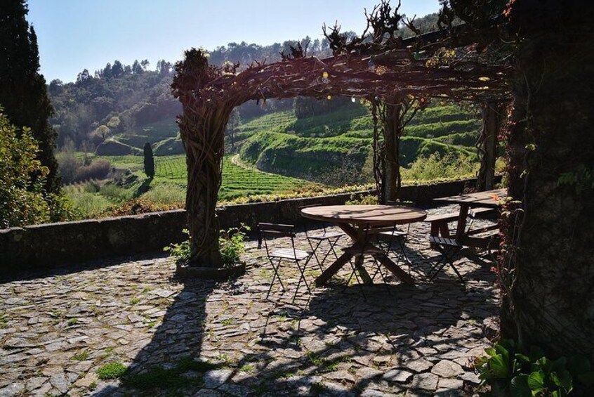 Private Douro Valley & Vinho Verde Small Group Tour: Wine Tasting, Lunch