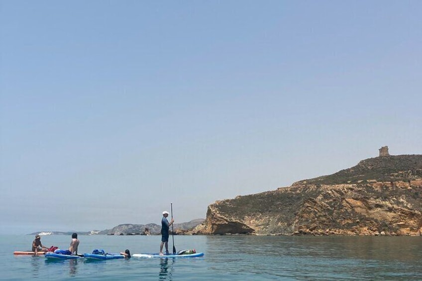 Private Sup Tour from Cala Manbrù to the Torre Salsa Nature Reserve