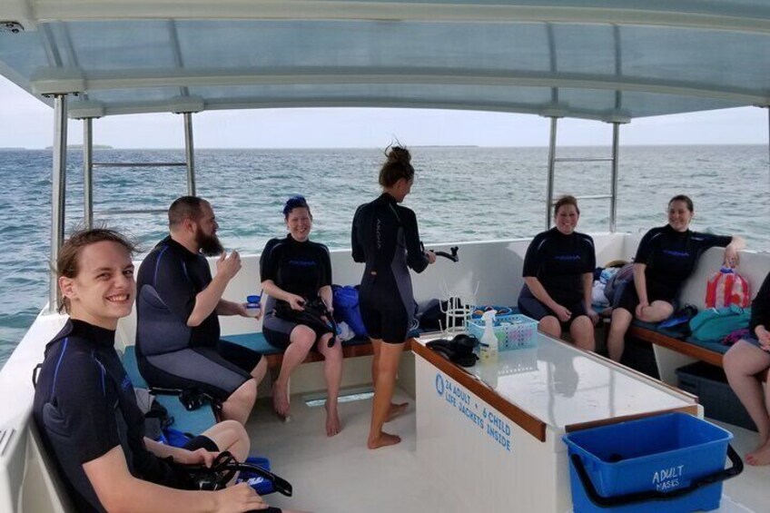 Dolphin Watch & Snorkel- Small Group- 4 Hours