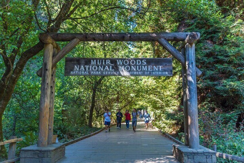 San Francisco to Muir Woods Shuttle