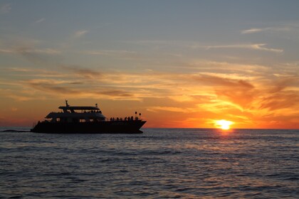 Crucero con cena en el Pacífico de lujo