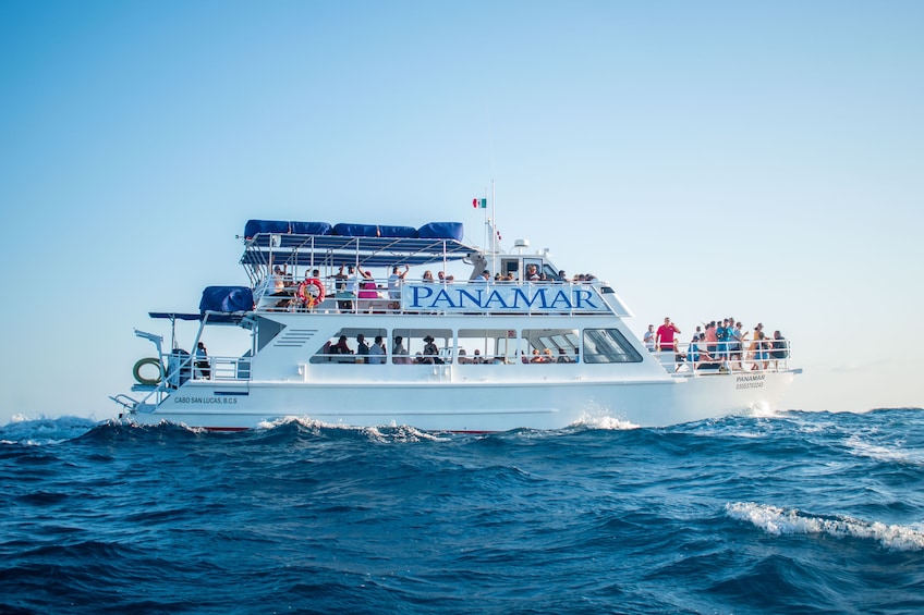 Fiesta Dinner Cruise
