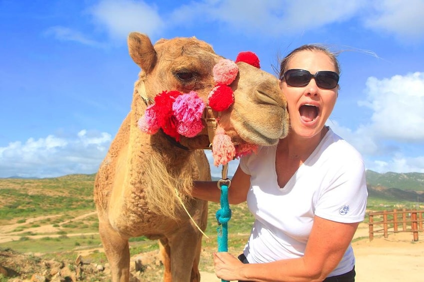 Camel Ride Encounter