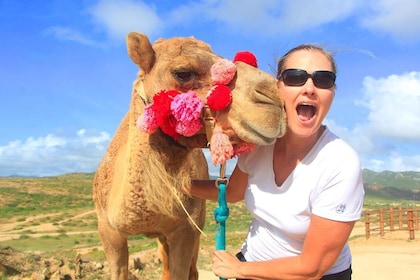 Paseo en camello y encuentro