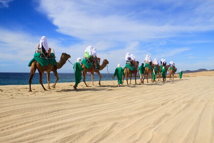 Camel Ride & Encounter