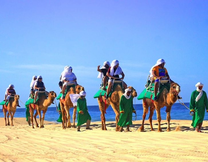 Camel Ride Encounter