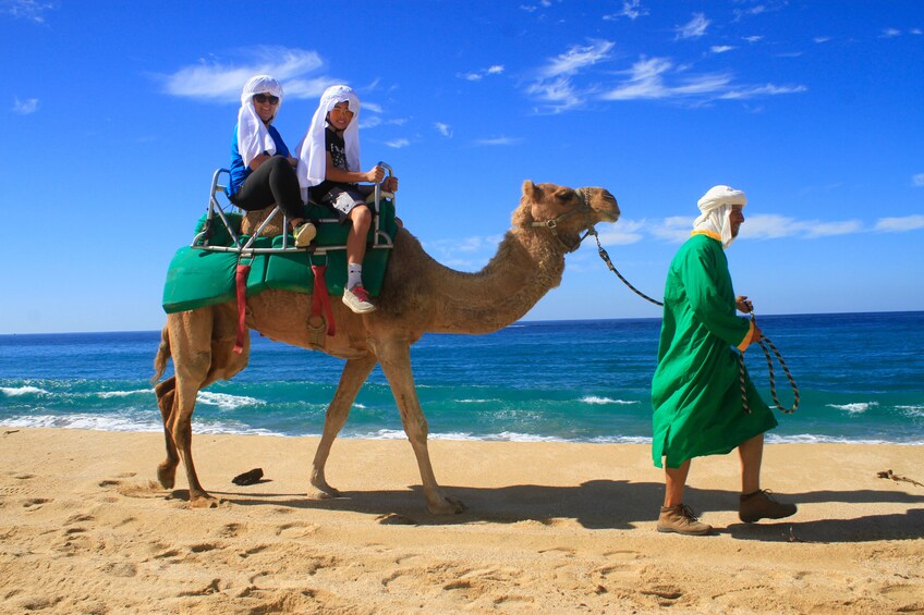 Parent and child riding a camel in Los Cabos 
