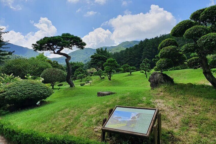 [Private Tour] Nami Island + The garden of Morning Calm