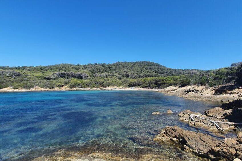 Private Day at Sea Around Port Cros