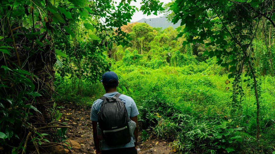 Discovering Oahu Audio Tour: History, Remarkable Views, Outdoor Activities