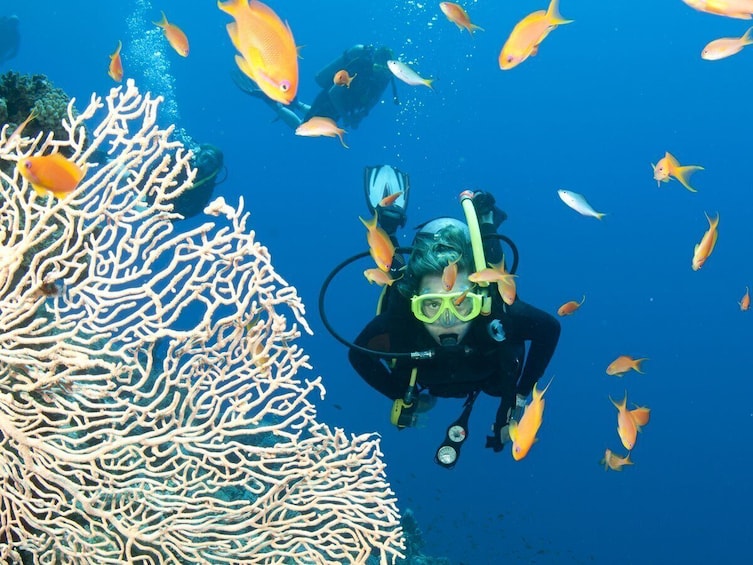 Nha Trang Diving at Mun Island Full Day Tour