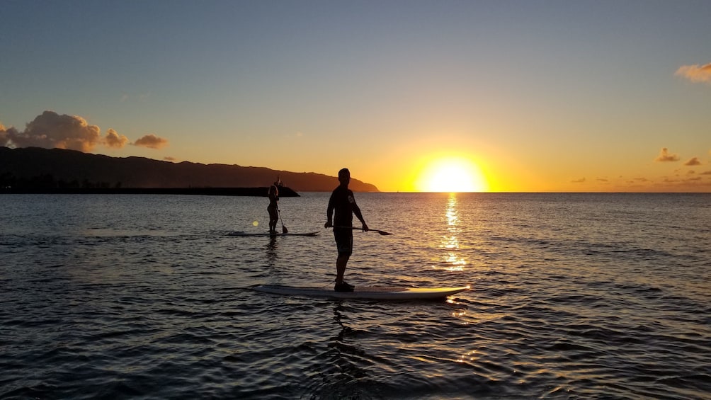 Group paddle boarding at sunset in Haleiwa