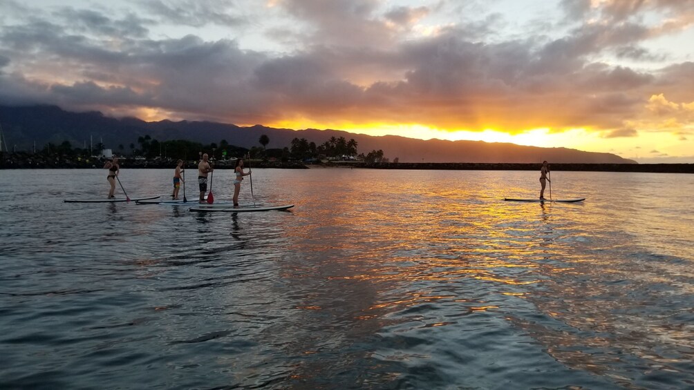 Sunset Stand Up Paddle Board Nature and Turtle Tour