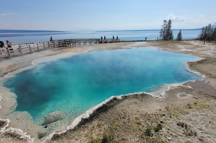 Full-Day Guided Yellowstone Day Tour