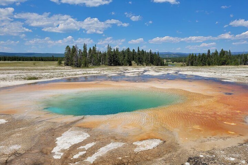 Guided Lower Loop of Yellowstone from Cody, WY