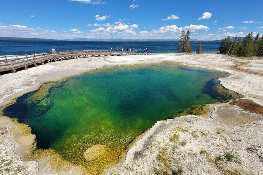 Lower Loop of Yellowstone Guided Tour