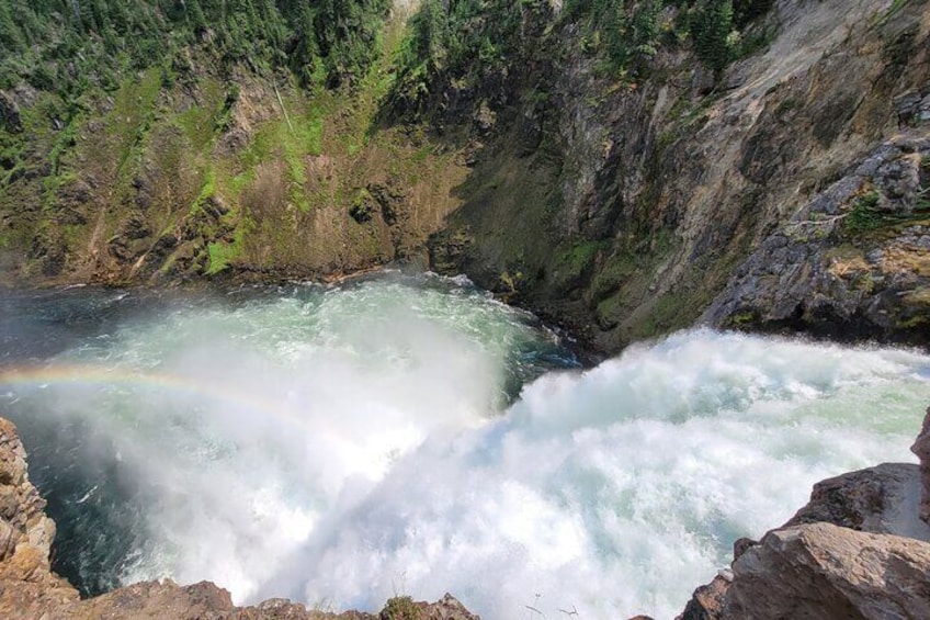 Lower Loop of Yellowstone Guided Tour