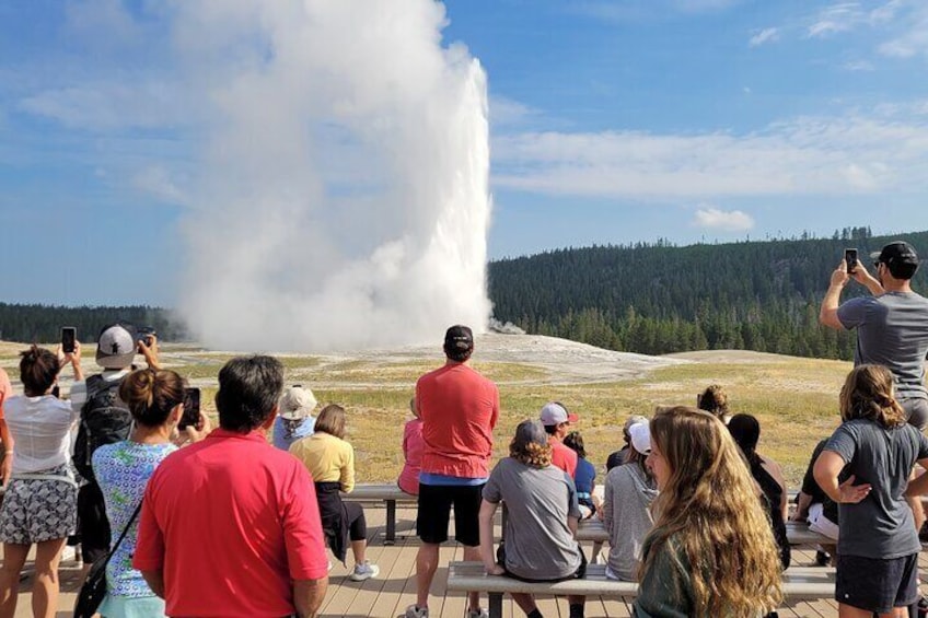 Lower Loop of Yellowstone Guided Tour