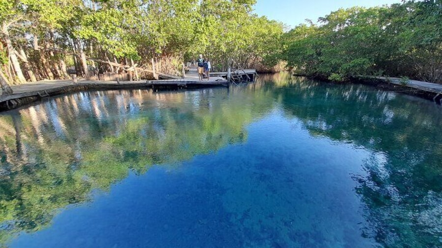 Boat Tour of Three Islands in Holbox with Transportation