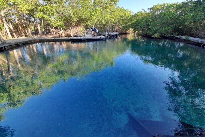 Boat Tour of Three Islands in Holbox with Transportation