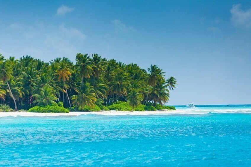Saona Island Full Day Catamaran Adventure
