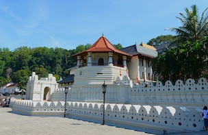 Private Kandy Day Tour from Kandy: Do it all in one day