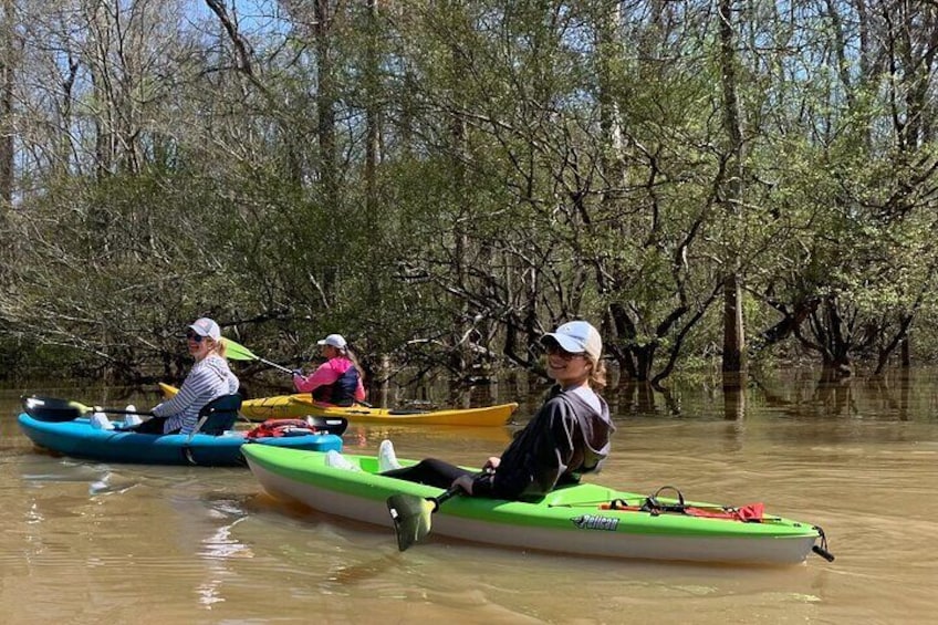 Cane Bayou Historic Water Trail Kayak Tour