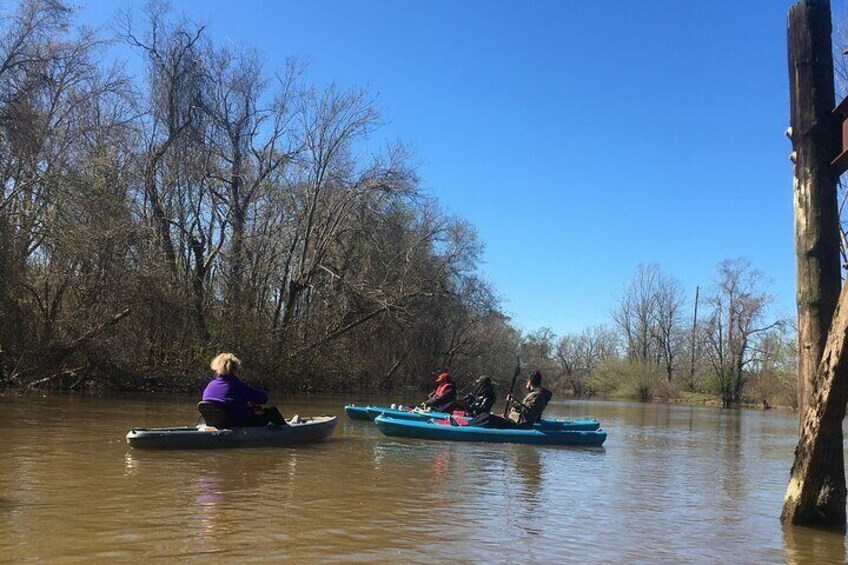 Cane Bayou Historic Water Trail Kayak Tour