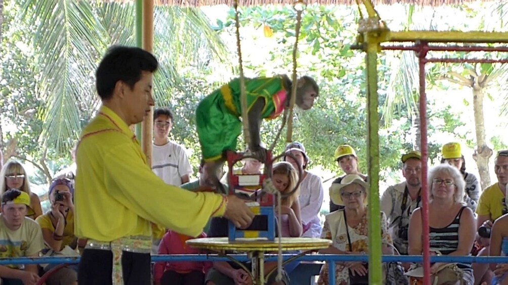 Man and monkey perform show for guests in Nha Trang, Vietnam