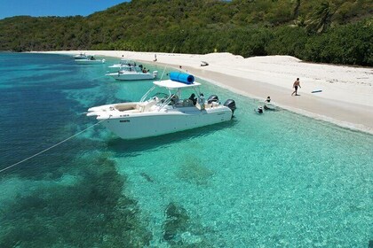 All-inclusive #1 Private Tour to Icacos and Palomino Island-6ppl