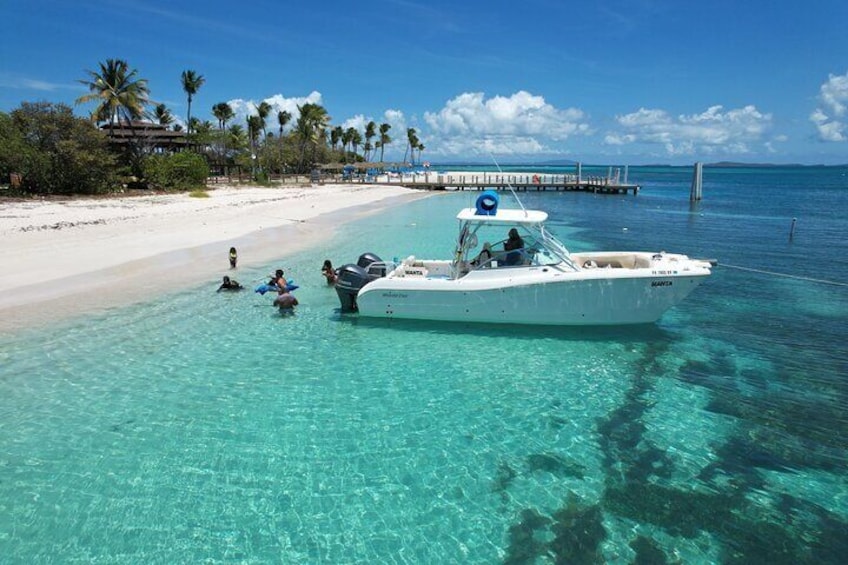 Palomino island