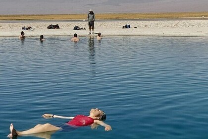 Half-Day Tour to Laguna Cejar