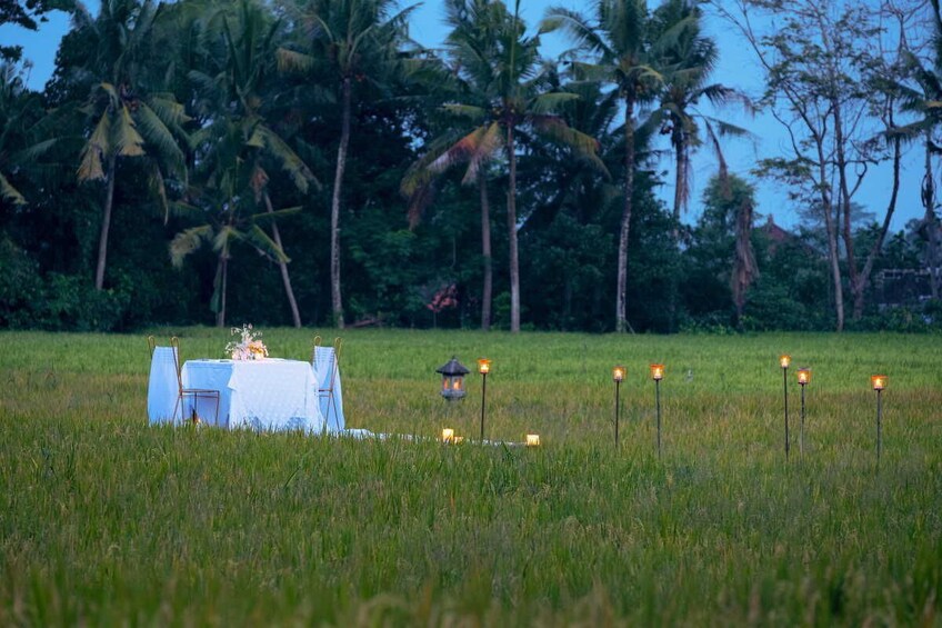 Romantic Dinner in Nha Trang's Rice Paddy Fields