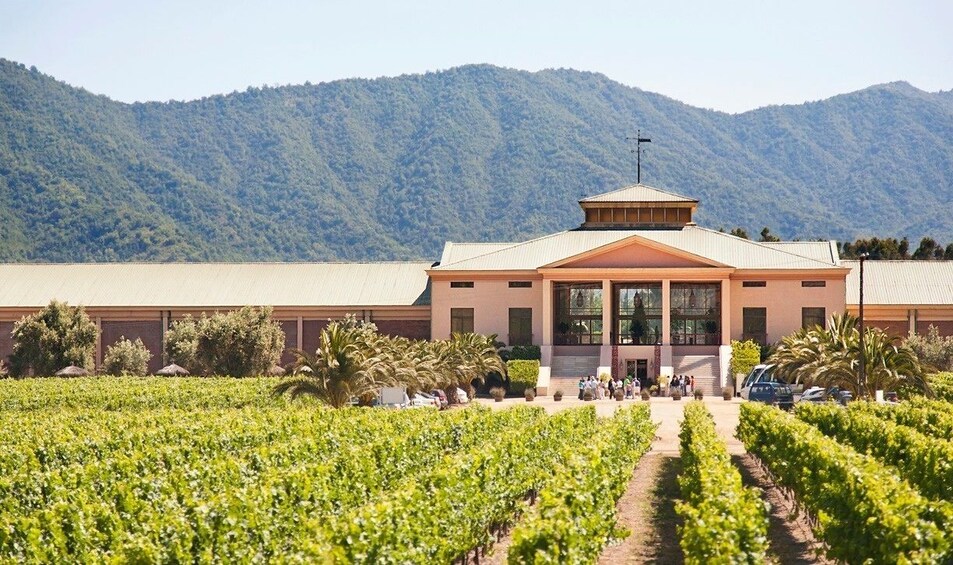 Small-Group Full day Tour to Pablo Neruda House & wine taste