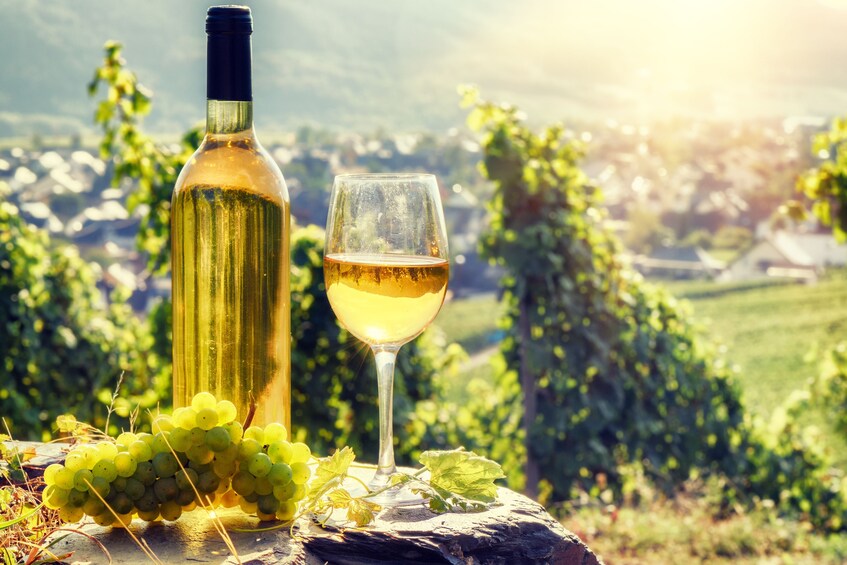 Wine bottle and glass at a vineyard in Budureasca