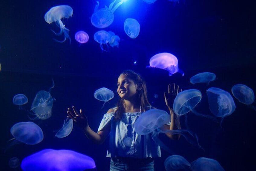 Ticket Palma Aquarium + 3D Cinema Aquadome