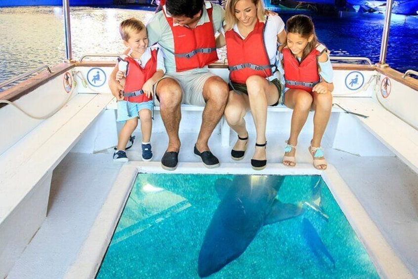 Ticket Palma Aquarium + 3D Cinema Aquadome