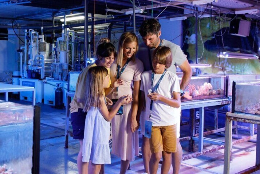Ticket Palma Aquarium + 3D Cinema Aquadome