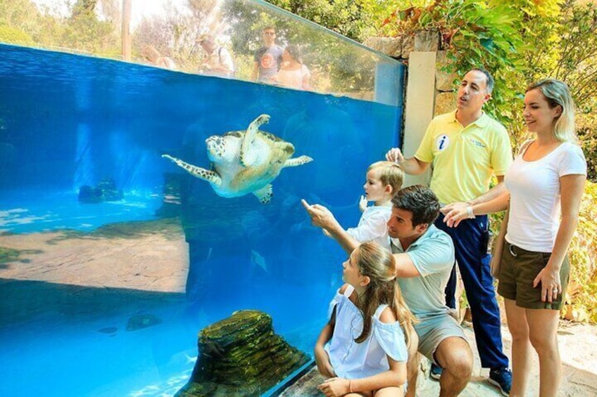 Ticket Palma Aquarium + 3D Cinema Aquadome