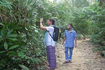 Private Sreemangal Adventure Tour from Sylhet
