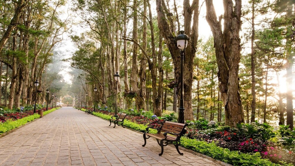 Stone park lane lined with trees, benches, and streetlamps in Dalat, Vietnam