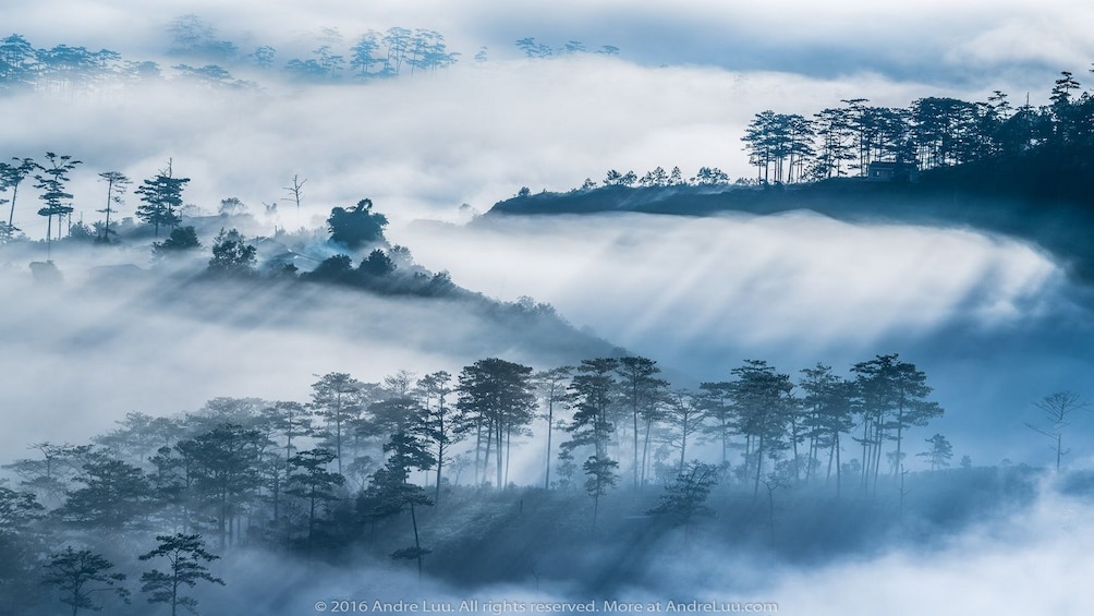 Foggy view of forests and mountains in Dalat, Vietnam