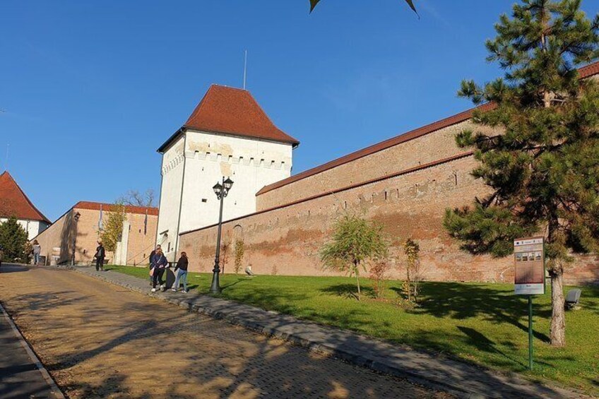 Targu Mures 3 hours walking tour