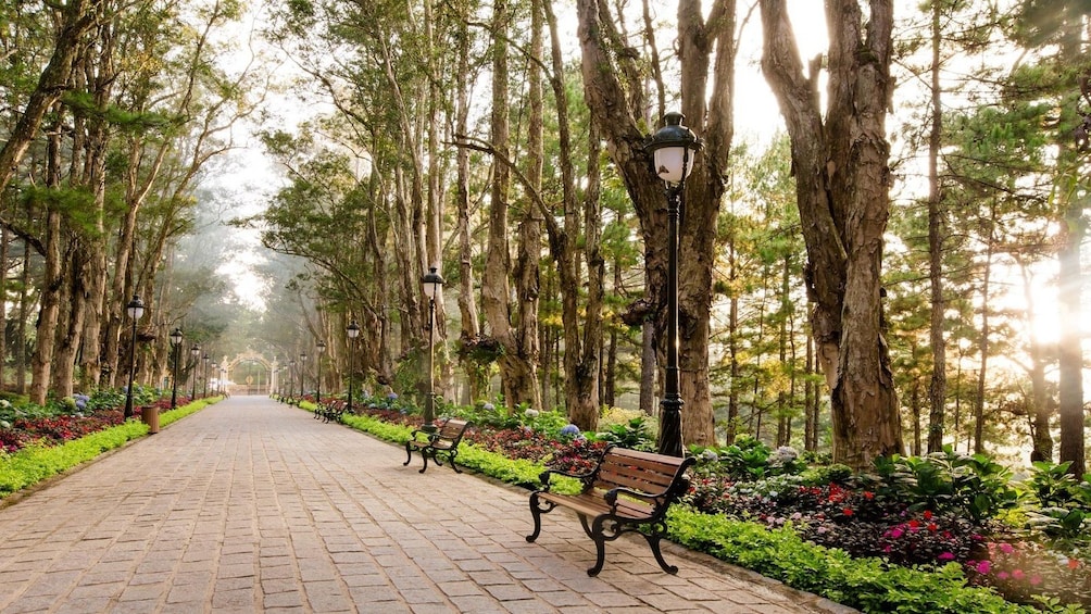 Park in Da Lat city